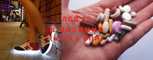 ПСИЛОЦИБИНОВЫЕ ГРИБЫ Баксан