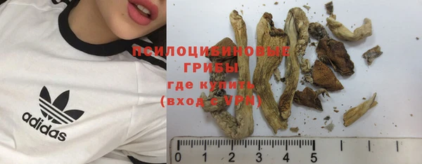 ECSTASY Балахна