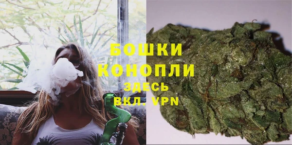 ПСИЛОЦИБИНОВЫЕ ГРИБЫ Баксан
